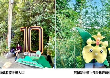 台中人最愛休閒活動之一！大坑10號特產步道好吃又好玩