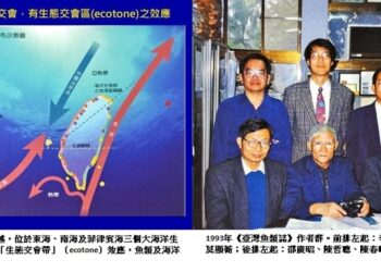 臺灣魚類學研究重要回顧 承先啟後、百年積累 打造臺灣與世界的連結