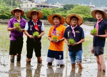 彩稻不是染的！ 「2025攜手稻關西」插秧啟動 9月迎生活畫布