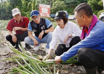 連日豪雨屏東農損逾1億元 周春米縣長盼盡速公告救助標準