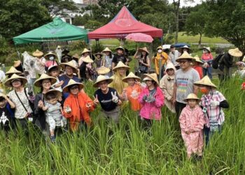 北市客家公園一期稻作割禾 實踐資源循環的淨零新生活