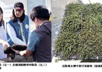 國海院攜手水試所「藻」一步搶海洋碳封存產業 管碧玲：52種本土藻種中1/6具產業潛力