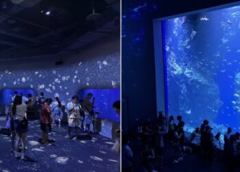 台中海洋館今日開館！民眾熱情湧入見證六大首創亮點