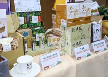 南市府推台灣好行公車遊限360人明開賣