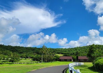 恆春半島秋日旅行提案：國慶賞鷹、巨型甜點藝術展、獵戶座流星雨打造超Chill假期