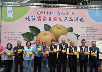 農友曾瑞東勇奪寶島甘露梨王！台中市寶島甘露梨果品評鑑結果揭曉
