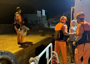 海上守護不分國籍 海巡百浬馳援印籍漁工就醫