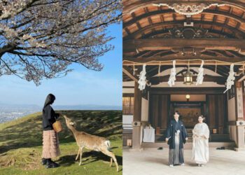 日本景點｜奈良旅遊全攻略、千年古都必訪行程可不只有餵鹿