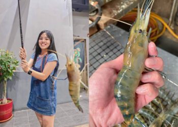 新北景點｜嚴選7間高評價釣蝦場 新手也能快速入坑