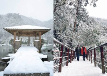 全台景點｜盤點台灣賞雪勝地 一起等待初雪降臨走進夢幻冰雪世界
