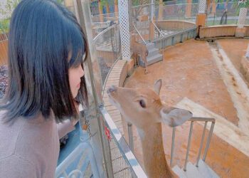 彰化親子農場｜帶著孩子出門放電 餵食小動物玩水玩沙 記錄孩子成長