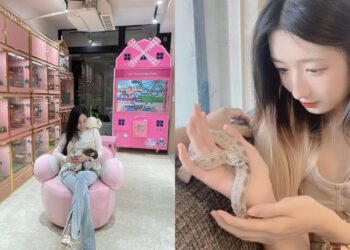 寵物咖啡廳｜全台7家超特別動物咖啡廳推薦 可愛龍貓一起吃飯 與蛇共舞超新奇 特殊萌寵魅力無法擋