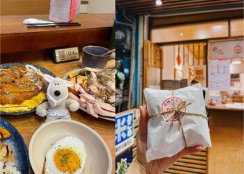 新竹美食｜新竹火車站周邊美食推薦 肉多到浮誇日式咖哩店 無論如何排隊也要吃鴨肉飯