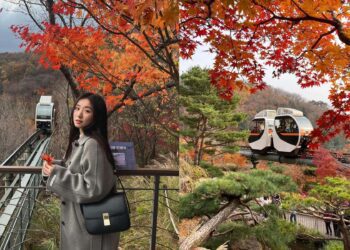 韓國景點｜和談林一日遊！韓國最佳賞紅楓地點 搭單軌列車穿梭山野