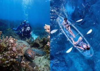 屏東景點｜透明獨木舟、與海龜共遊 小琉球水上活動推薦TOP 6