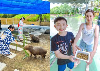 花蓮親子景點｜親子出遊必訪景點TOP8 遠雄海洋公園與你共眠，日式月崖灣親子農場超好拍