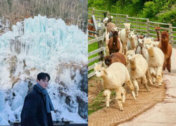 韓國一日遊行程推薦｜韓國自由行熱門景點 必看兩大表演一次收錄