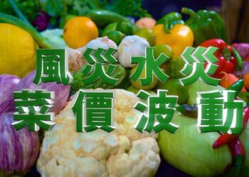 菜價波動時的最佳選擇　波蜜果菜汁10元起輕鬆補菜