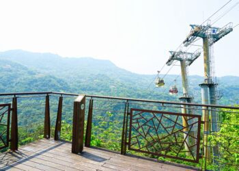 雙十連假遊貓空！搭纜車走步道、嚐特色茶料理