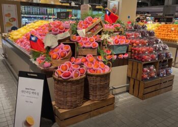 臺南芒果韓國快閃炫風 韓國樂天集團及現代百貨上架