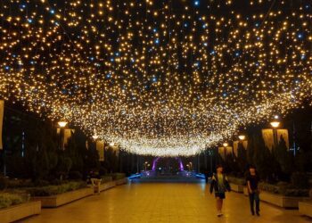 科工館即日起至元宵　越夜越美麗