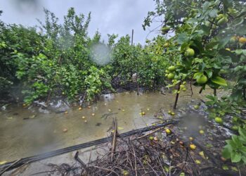 屏東預防性撤離1198人 周窗米關心收容情況