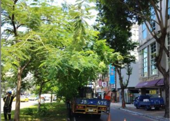 小犬颱風即將侵台，公園處加強整備