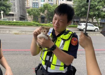 「海葵」威力萌貓也認證 中警化身貓爸爸冒雨搶救