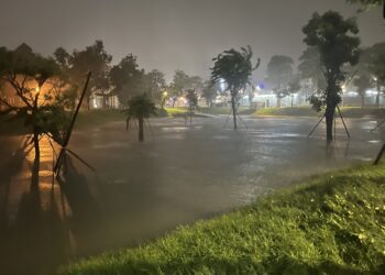鍾易仲：鳳山治水不能「治東不治西」