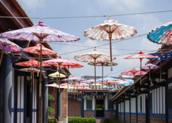 成美文化園打造北美風情聖誕節　絕美落羽松化身聖誕樹大道