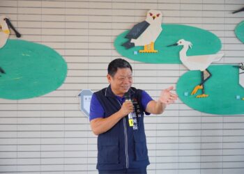 藝術家攜手龍港國小師生共創臨時性公共藝術 七巧板風格野鳥作品吸睛
