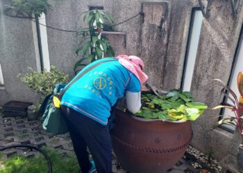屏東登革熱個案 雲林足跡 縣府緊急防治