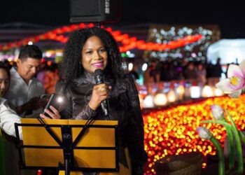 貝里斯翩翩飛舞的巨嘴鳥與馬雅鹿舞 台南亮麗｢燈｣場