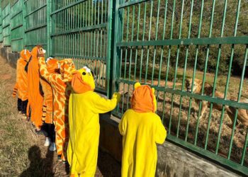 2024六福村勇闖猛獸趣味路跑 元旦奔向猛獸趣