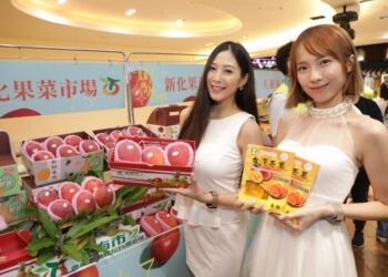 賣台南精品芒果黃偉哲全台跑透透 台中場限量芒果秒殺