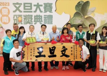 2023台南文旦大賽評鑑出爐 中秋送禮首選文旦