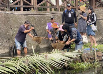 花蓮災後重啟永續觀光 食農、生態、部落文化一次體驗
