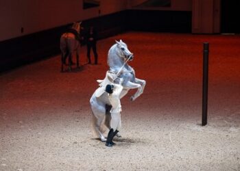 阿布札比皇家馬術藝術學院—-全球第五所古典馬術學院正式啟幕