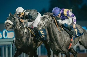 在 Mansour bin Zayed 殿下贊助下，阿布扎比草地俱樂部將舉辦第 33 屆阿聯酋總統盃純種阿拉伯馬賽