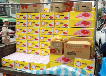 高市「挺原鄉、推金煌」 300盒金煌芒果秒殺