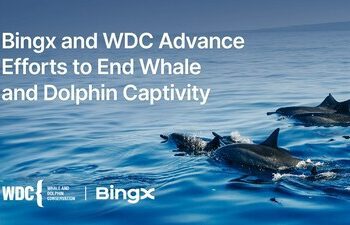 BingX與鯨豚保育協會合作反圈禁取得重大進展