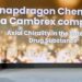Cambrex 旗下公司 Snapdragon Chemistry 因 API 開發榮獲 CPhI Pharma Award