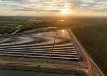 打造葡萄酒業綠色典範 | 天合光能至尊組件+跟蹤支架一體化解決方案賦能澳洲酒莊光伏