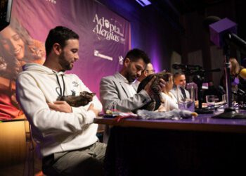 哥倫比亞舉行首次有貓咪參與的記者會