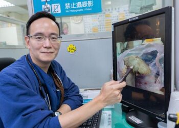 婦食「最會惹事毒菇」休克　醫籲：路邊的野菇不要採