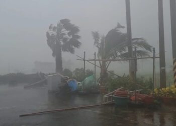 海葵颱風／（15級陣風畫面曝光）台東縣成功鎮颳15級強風　居民錄影直呼：「手都抖了、很怕餒！」