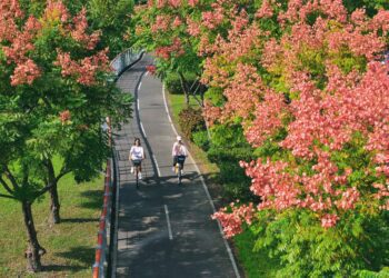 湳仔溝、新海濕地　秋遊賞鳥踏青好去處