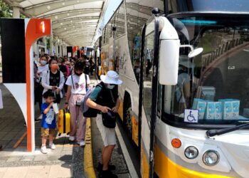 秋遊小琉球正時候，客運載您直達東港渡船碼頭!