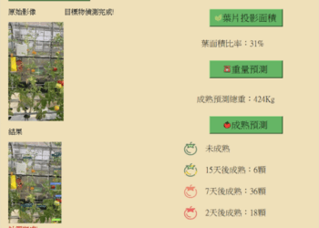 農業科專鼓勵業者智慧創新 開發番茄成熟度辨識技術