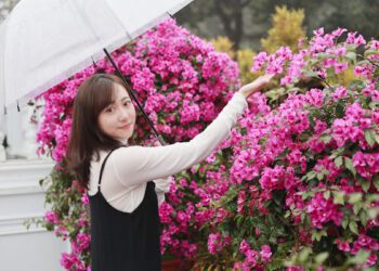 青龍年走春求好運！17LIVE直播女神大方帶路2024走春秘境